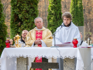 Uroczystość Wszystkich Świętych