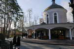 Rezurekcja