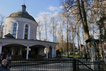 Rezurekcja