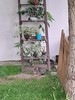 Wyjazd scholki - Nieborów Łowicz