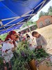 Wyjazd scholki - Nieborów Łowicz