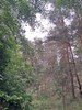 Wyjazd scholki - Nieborów Łowicz