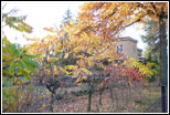 Ul. Z. Krasińskiego