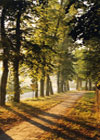 Ulice Komorowa
