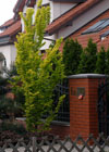 Ulice Komorowa