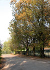 Ulice Komorowa