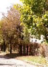 Ulice Komorowa