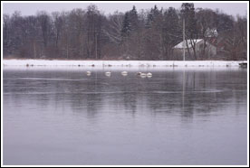 Komorów zimą