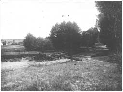 Pola Komorowa