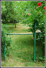 Park Markiewiczów