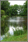 Park Markiewiczów