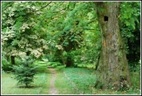 Park Markiewiczów