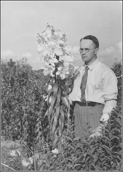 Władysław Łoziński
